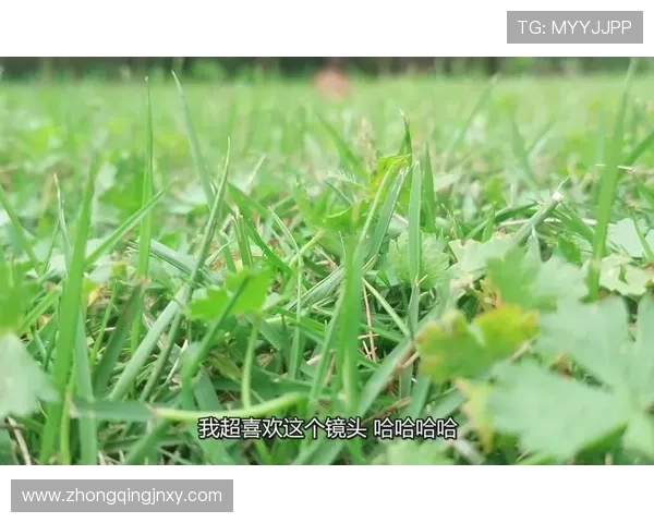 杈藉畞瀹樺浼戣禌鏈熼绛撅紒寮楁牸绂婚槦鎴愬畾灞€锛岃档缁т紵杩庡崟鏍歌€冮獙